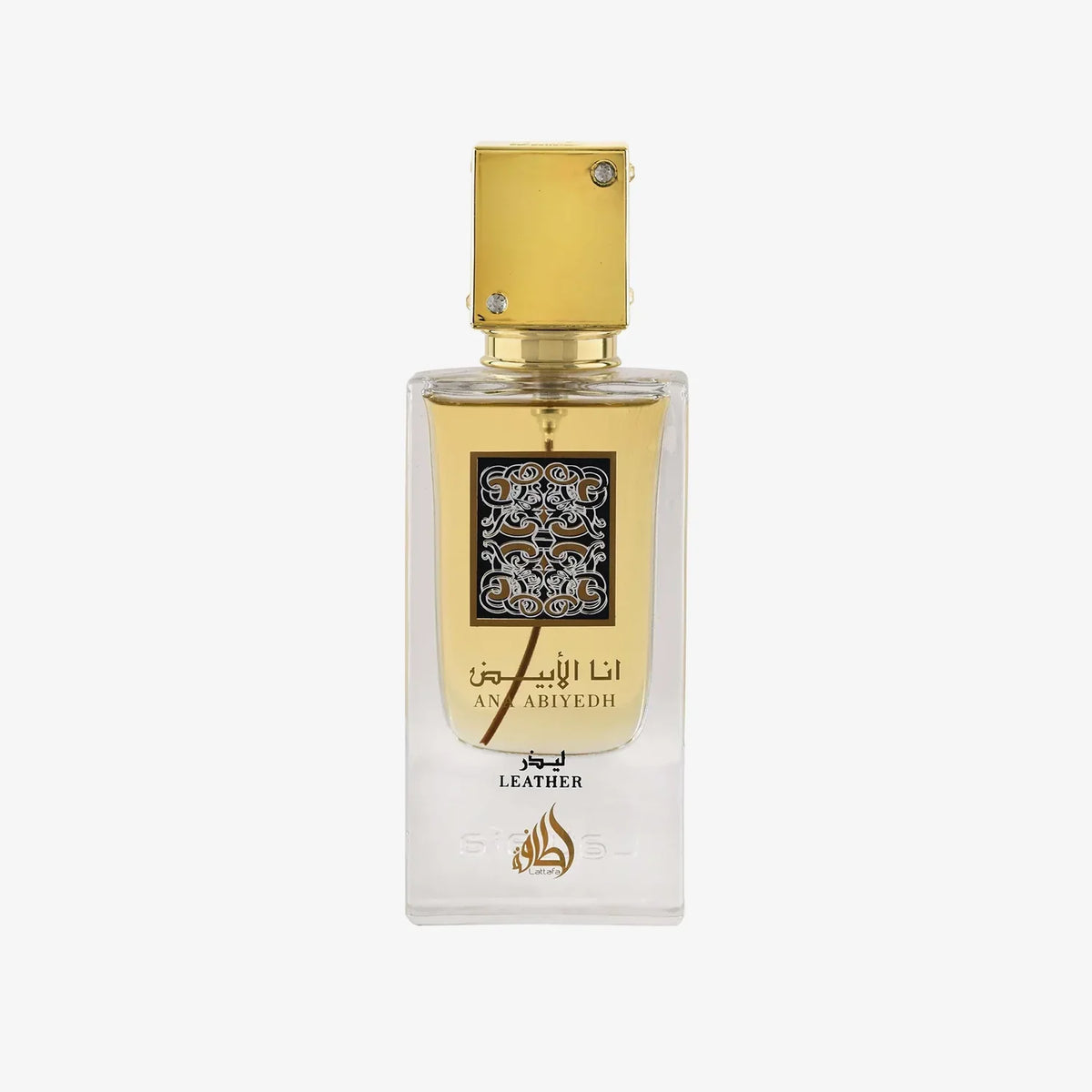 Ana Abiyedh Leather